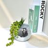 Silver Mirror Glass Flower Vase Home Decoration Disco Ball Plant Holder Plant Planting Pot  Home