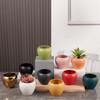 Simple Colored Flower Pot Ceramic Succulent Pot Planter Home Decor Indoor Decoration Desktop Ornaments Bonsai Plant Pot