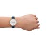 Skagen Watch RIIS SKW3090 Ladies Blue