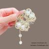 Elegant Metal Butterfly Hairpin with Tassel Pendant for Women, 2025 New Style