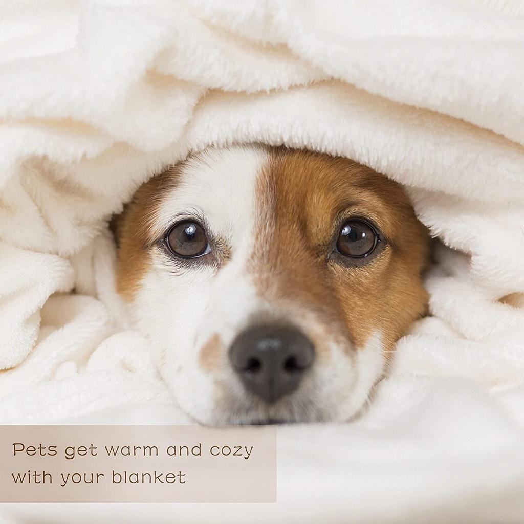 Colour Butterfly  Four Seasons Flower Flannel Blanket Warmth Soft Plush Sofa Bed Throwing   Fluffy