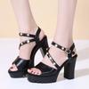 Womens Fashion High Heels Sandals Women Slingback Platform Shoes Woman Roman Sandal Female Pumps White Summer 2024 New