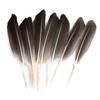 80 Natural Pheasant Feather Decorative Diy Jewelry Hair Accessories Material Cat Stick Toy Accessories
