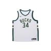 Giannis Antetokounmpo No. 34 NBA Basketball Jersey Men Sportswear White CW3599-103