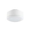 LED Flat Warm Beautiful 24 Degree Beam Light Dimming LLD2020MVCB1 Lamp, White, Look, Angle, Focusing, 70 -