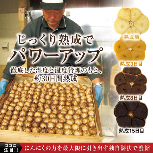 Yazuya Group Kyushu Nature Center Matured Black Garlic Egg Yolk 185 Capsules (One Capsule Per Day for Six Months) Family Size