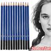 12 Pcs/Set Professional Drawing Sketching Pencil Set Sketch Art Pencils Graphite Shading Pencils for Beginners Pro Artists Stationery