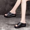 Fashion 2024 Summer New Fashion Solid Color Open Toe Women Slippers Wearing Thick Sole Slope Heel Comfortable Women's Shoes Outside