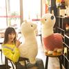 Alpaca Doll Grass Mud Horse Plush Toys Girls Large Pillow Cartoon Rag Doll Children's Doll Gift