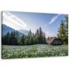 Canvas Print Landscape Mountain House