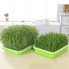 Indoor Nursery Paper Hydroponic Tray Grow Nursery Pots Plant Box Sprout Pot Seed Sprouter Tray