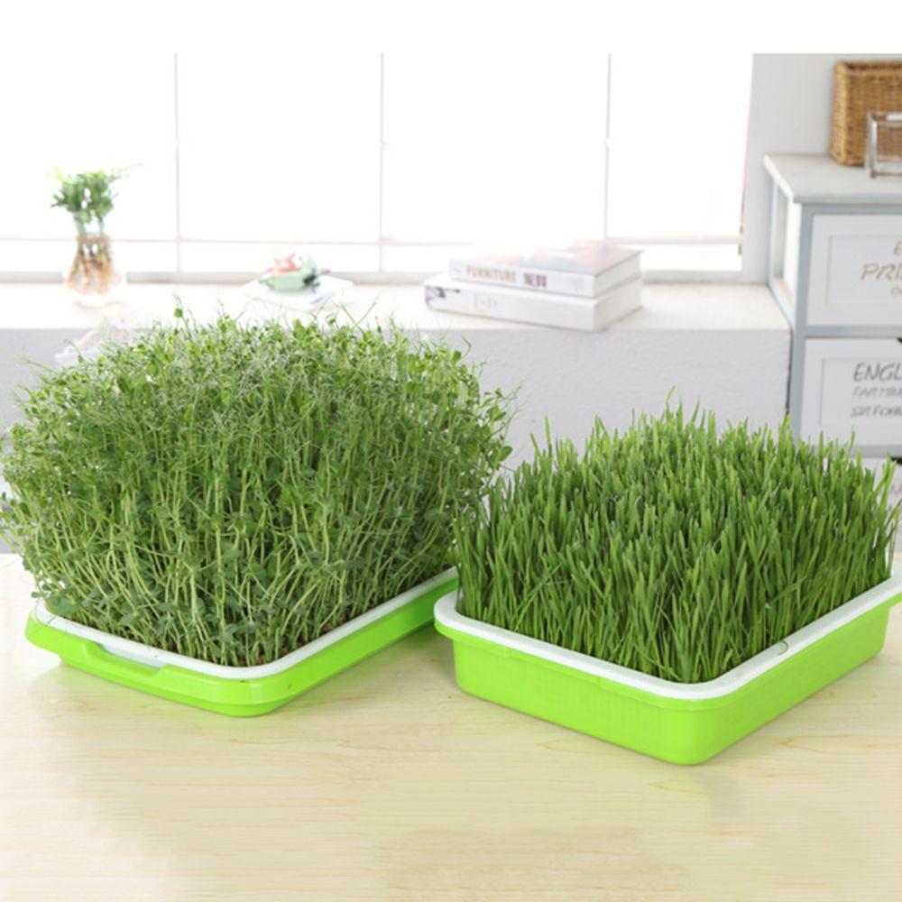 Indoor Nursery Paper Hydroponic Tray Grow Nursery Pots Plant Box Sprout Pot Seed Sprouter Tray