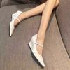 Beautiful Temperament Small Silver High Heels Women's 2025 New Spring Special-shaped Heel Pointed Retro Wedge Heel Mary Jane Single Shoes