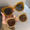 Oversized Butterfly Cat Eye Sunglasses New Trendy Fashion Female Lady Shades Colorful Popular  Designer Eyewear for Women
