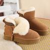 Long Plush Platform Snow Boots for Women Faux Suede Non Slip Cotton Padded Shoes Woman Winter Thick Soled Warm Ankle Boots