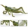 Oenux Simulation Dragonfly Grasshopper Centipede Wild Insect Animals Model Action Figures Miniature Education Collection Kid Toy