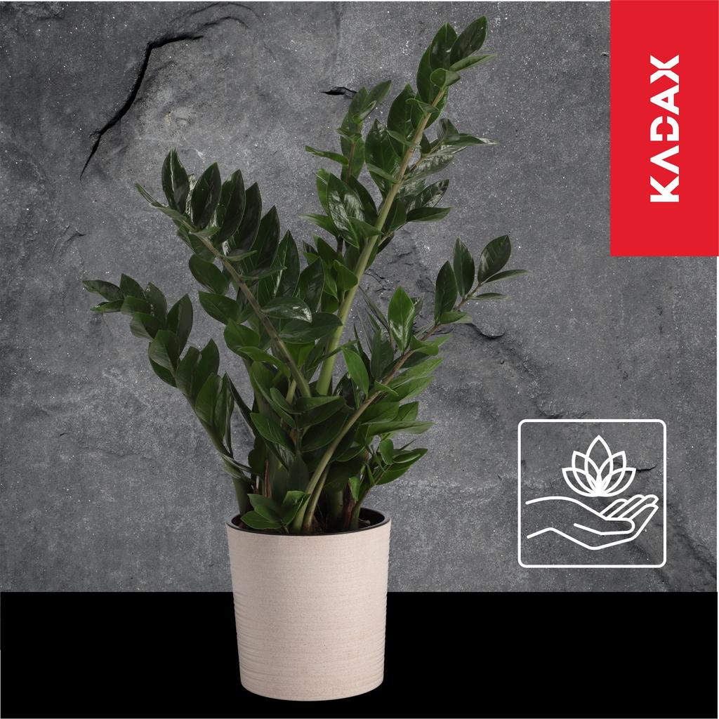 KADAX Doniczka Osłonka Donica misa Na Kwiaty  19cm