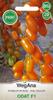 Tomato Odat F1 20 Seeds Tomato Seeds -