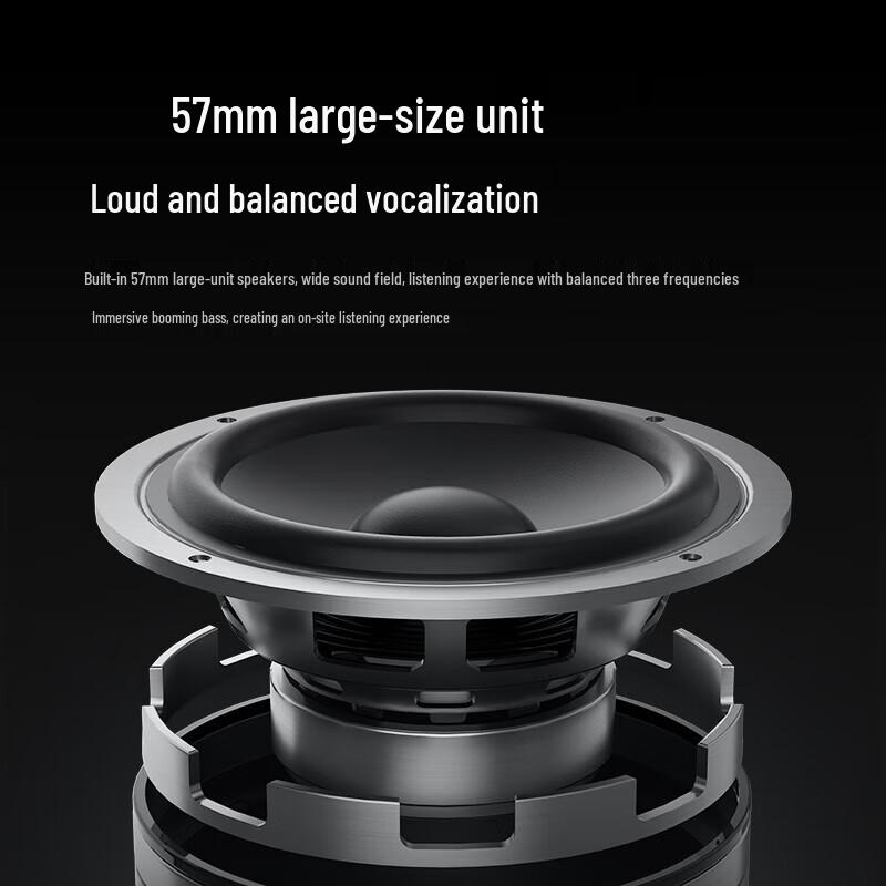 Портативная уличная Bluetooth-колонка Philips TAS3209