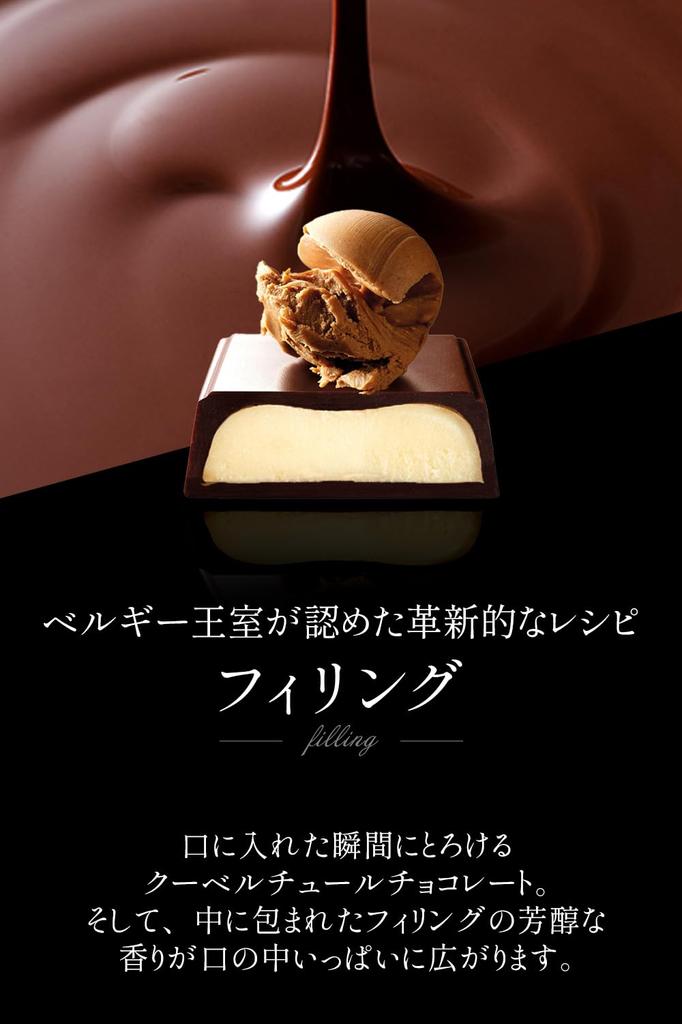 Galler Galley Chocolate Gift Mini Bar 10 Pieces 2025 New Day Sweets Souvenir Popular Sweets Present Luxury Chocolate Individually Wrapped Year's