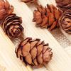 Natural Pine Cones 2-3Cm Pine Balls Pine Flowers Dried Flowers Plants Christmas Decoration Ornaments Accessories Micro Landscape Shooting