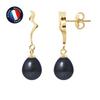 Earrings - - Ribbon - Black Cultured Pearls 8-9 Mm - Yellow Gold - Women