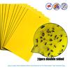 10Pcs Strong Flies Traps Bugs Sticky Board Catching Aphid Insects Pest Killer ARI