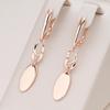 Simple Round Chain Dangle Earrings for Women Statement Jewelry Accessories
