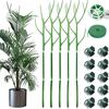 Plant Support Stake Detachable Plastic Twig Plants Potted Stand Stick Orchid Clips Garden Supplies
