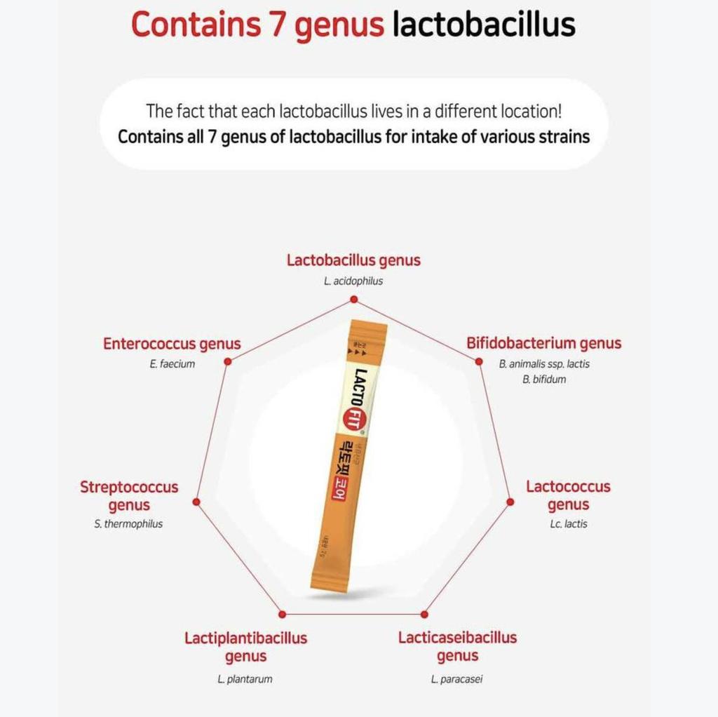 Lacto-Fit Care Probiotics – Advanced Digestive & Gut Health Support (60P, 120g) (OPTIONAL)