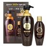 Daenggi Meori New Gold Special Shampoo 500ml + 145ml Special Set, 1 Piece