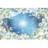 Ceiling Wallpaper 3d Plant Flowers Blue Sky Ceiling Mural Living Room Bedroom Hotel Ceiling Mural