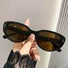 Women Fashion Cat Eye Sunglasses Retro Sun Glasses UV400 Protective Eyewear Trendy Outdoor Travel Eyeglasses Oculos De Sol
