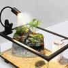 Curved Long Holder Reptile Heat Lamp Clip-on Lamp Holder Pet Heat Bulb  Snake Tortoise Plants