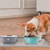 Non-slip Stainless Steel Dog Bowl Large Capacity Cat Feeding Bowl Dog Water Bowl  Home