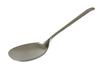Titanium Spoon