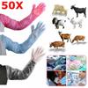 50Pcs Plastic Disposable Vet Glove Clear Farm Glove Non-toxic Cattle Sheep Glove  Midwifery