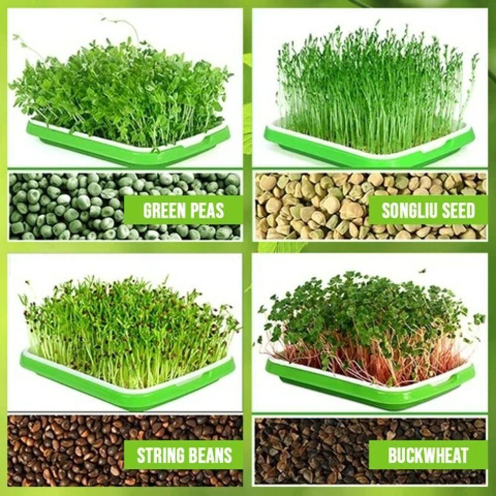 Indoor Nursery Paper Hydroponic Tray Grow Nursery Pots Plant Box Sprout Pot Seed Sprouter Tray