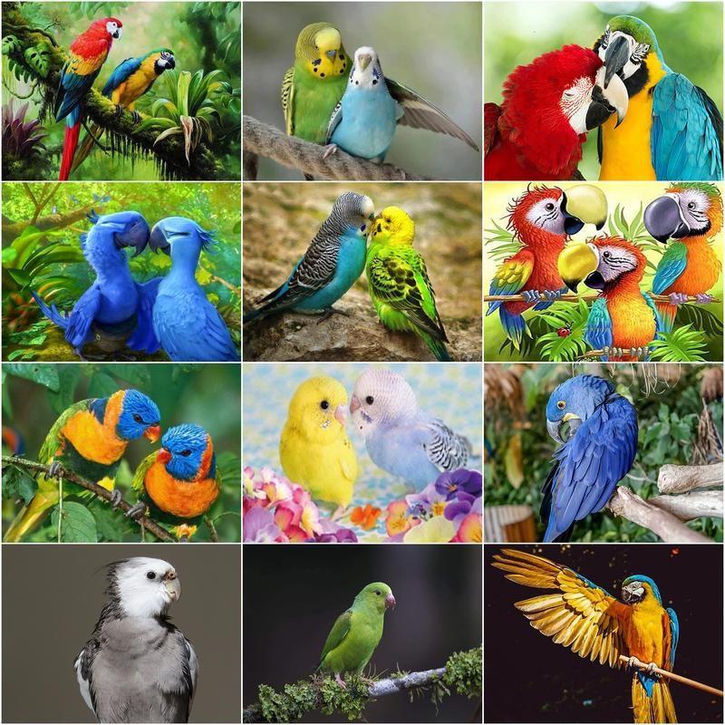 Diamond Embroidery Mosaic Animal Parrot Cross Stitch 5D DIY Diamond Painting Craft Kit Home Rhinestones Gift Decorati