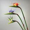 Artificial Flower Lifelike Bird of Paradise Realistic Non-fading And Low Maintenance Home Decoration