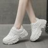 Mesh Dad Shoes Women's Spring and Autumn New Thick-soled Little White Thin Women's Shoes Versatile Height-increasing Sneakers