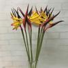 Nearly Wedding Home Decor Long Stem Silk Crane Latex Flowers Artificial  Flowers Tropical Flowers