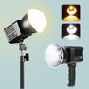 PULUZ 60W Studio Video Light 2500K-6500K Dual Color Temperature Professional Photography Fill Light (Black)