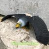 1 Piece Outdoor Eagle Figurine Hanging Bird Deterrent Plastic Eagle Ornament Vivid Flying Bird Hawk Decoy Garden Scarecrow