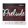 D'Addario Prelude G-String J1013 1/2m Medium Tension Cello Strings