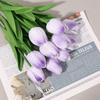 2 Bunch of PU Simulation Tulips