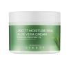 Moisturizing Face Cream Aloe Moisture Real Aloe Vera Cream 150 Ml