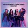 BlackpInk In Your Area  Regular Edition 