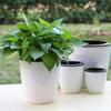 Flower Pot Automatic Decors Garden Home Office Plant
