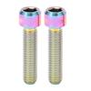 2pcs Bike Stem Screw M6 25mm Extended Titanium Alloy Bike Seatpost Screw for Mountain Road Bike
